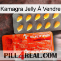 Kamagra Jelly À Vendre new01